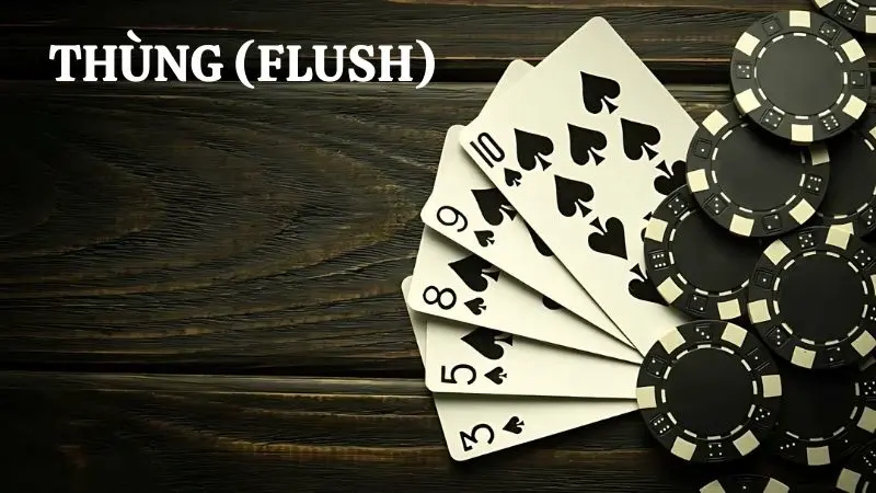 Thùng (Flush)